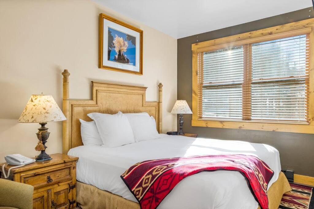 Blue Collar Boutique: Affordable Adventure Aparthotel Telluride Buitenkant foto